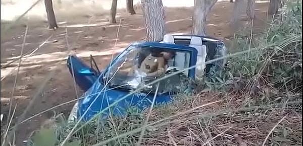  Cazamos a este bombón en plena calle y Tommy se la lleva al bosque para follarla